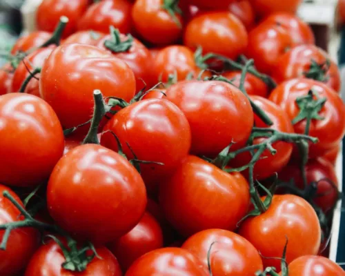 A pile of ripe red tomatoes in a box. The best tomatoes to grow in a greenhouse will depend on your specific needs and growing environment.
